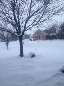 Segunda-feira pela minha,-vista da porta de casa
