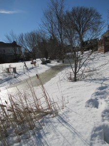 É gelado mais é lindo !!!