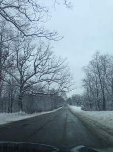 Nao vejo a hora de ver esta paisagem verde !!!!