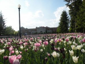 Jardim Botanico de Montreal